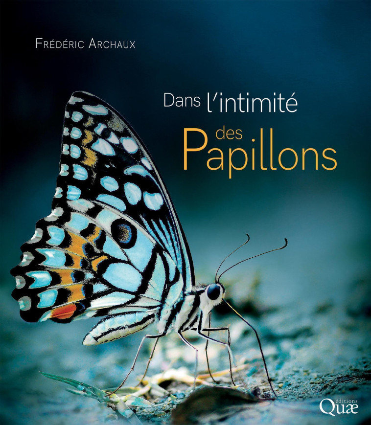 Dans l'intimité des papillons - Frédéric Archaux - QUAE