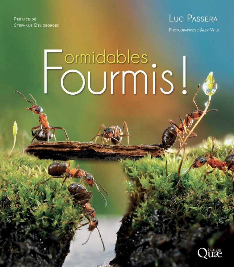 Formidables fourmis ! - Luc Passera, Stéphane Deligeorges - QUAE