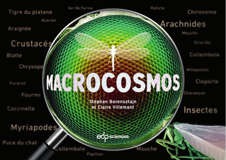 Macrocosmos - Claire Villemant, Stephan Borensztajn - EDP SCIENCES