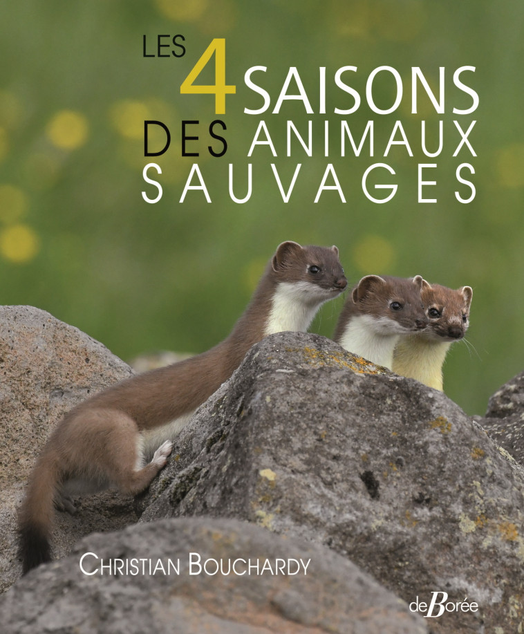 Les 4 saisons des animaux sauvages - Christian Bouchardy - DE BOREE