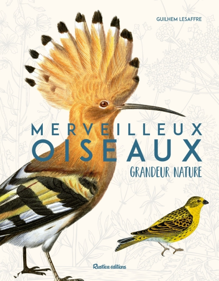 Merveilleux oiseaux grandeur nature - Guilhem Lesaffre - RUSTICA