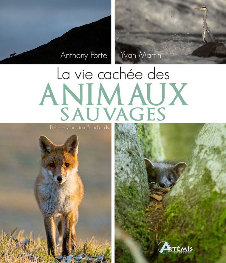 La vie cachée des animaux sauvages - Antony PORTE, Yvan Martin,  Porte antony - ARTEMIS