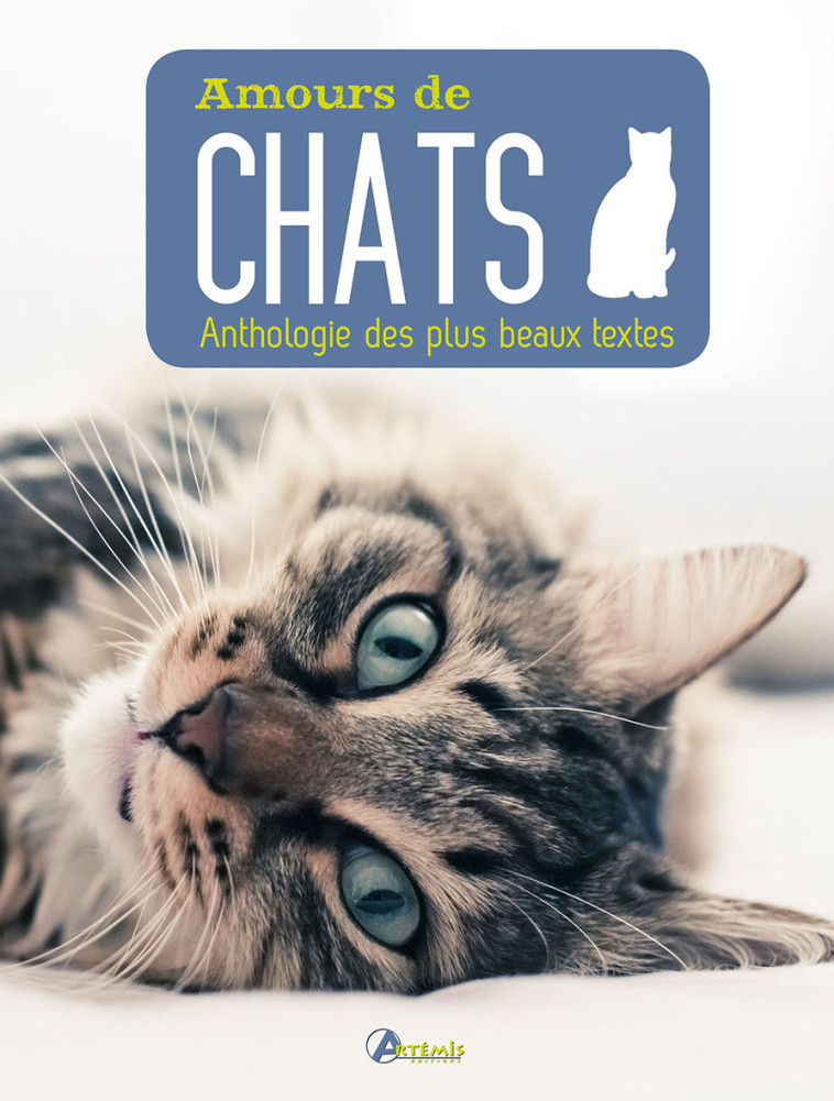 Amours de chat -  Collectif - ARTEMIS