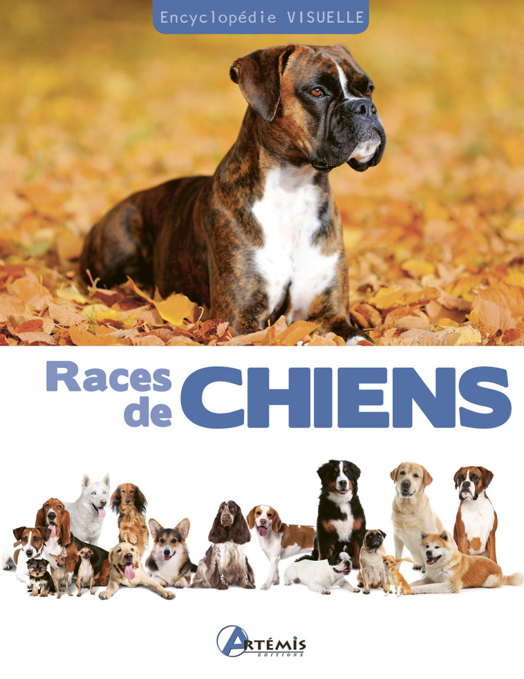 Races de chiens -  Collectif - ARTEMIS