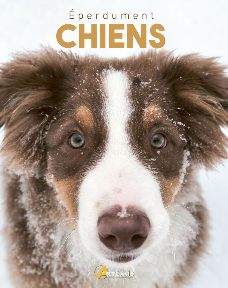 Eperdument chiens -  Jackson tom, Tom Jackson,  Collectif,  HORS COLL - ARTEMIS