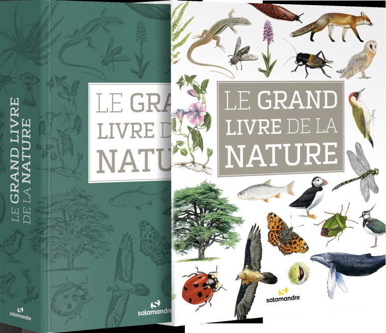 Le grand livre de la nature  -  Collectif - LA SALAMANDRE