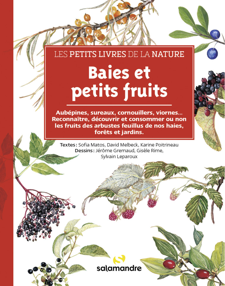 Les petits livres de la nature - Baies et petits fruits - David Melbeck, Sylvain Leparoux, Sofia Matos, Karine Poitrineau, Gisèle Rime, Jérôme Gremaud - LA SALAMANDRE