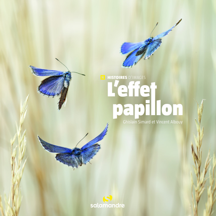 L'effet papillon - Vincent Albouy, Ghislain Simard - LA SALAMANDRE