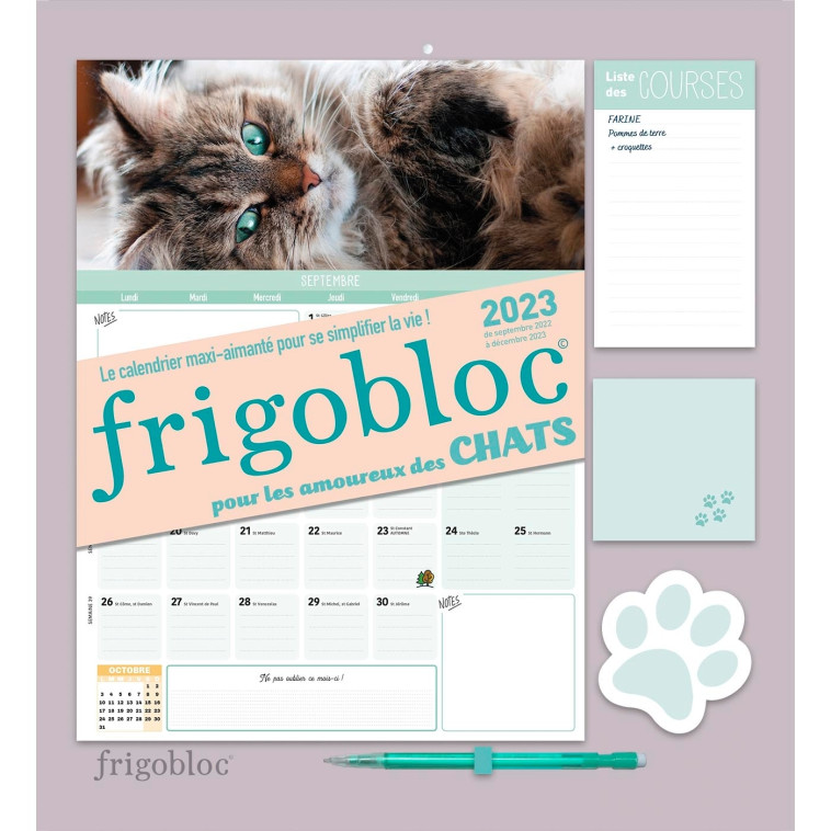 Frigobloc Mensuel 2023 Chats (de sept. 2022 à déc. 2023) -  PLAYBAC EDITIONS - PLAY BAC