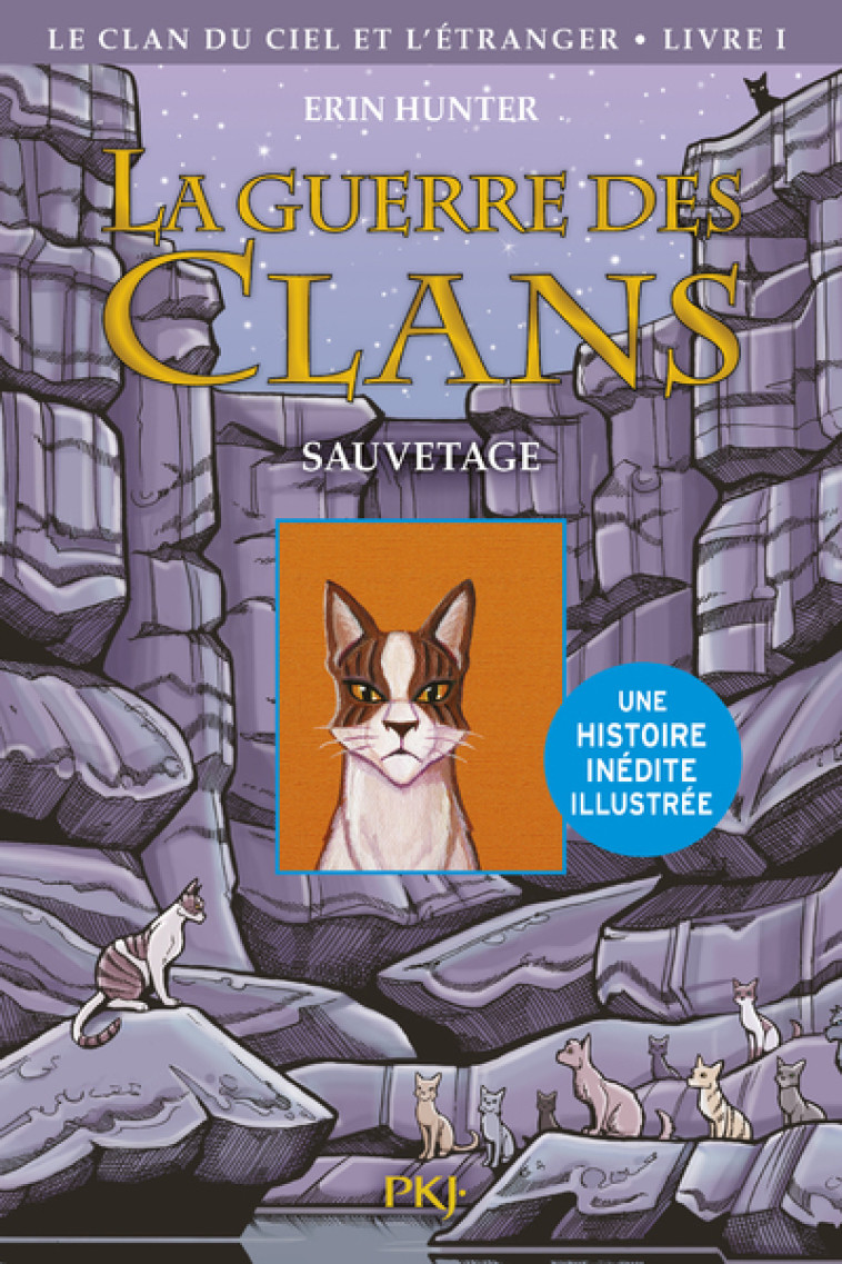 La guerre des Clans illustrée - Cycle IV Le clan du Ciel et l'étranger - tome 1 Sauvetage - Erin Hunter, Aude Carlier - POCKET JEUNESSE