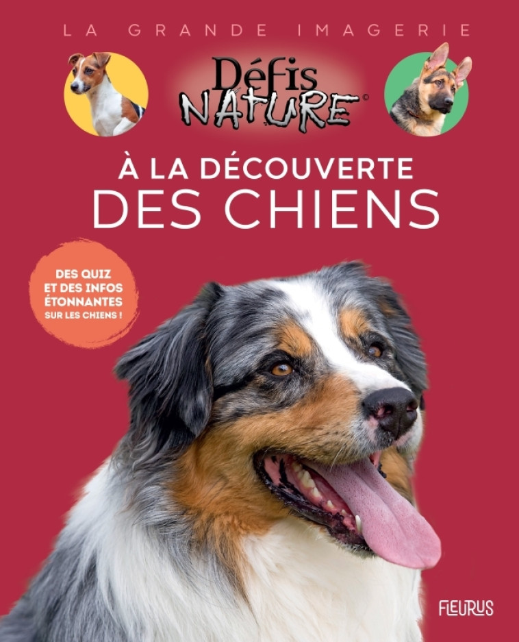 À la découverte des chiens - Marie-Alice Trochet-Desmaziers - FLEURUS