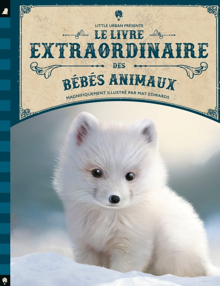 Le livre extraordinaire des bébés animaux -  - LITTLE URBAN