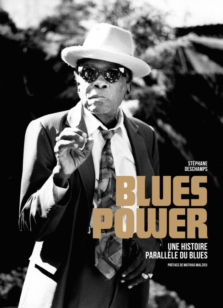 BLUES POWER - UNE HISTOIRE PARALLELE DU BLUES - Stéphane Deschamps - GM EDITIONS