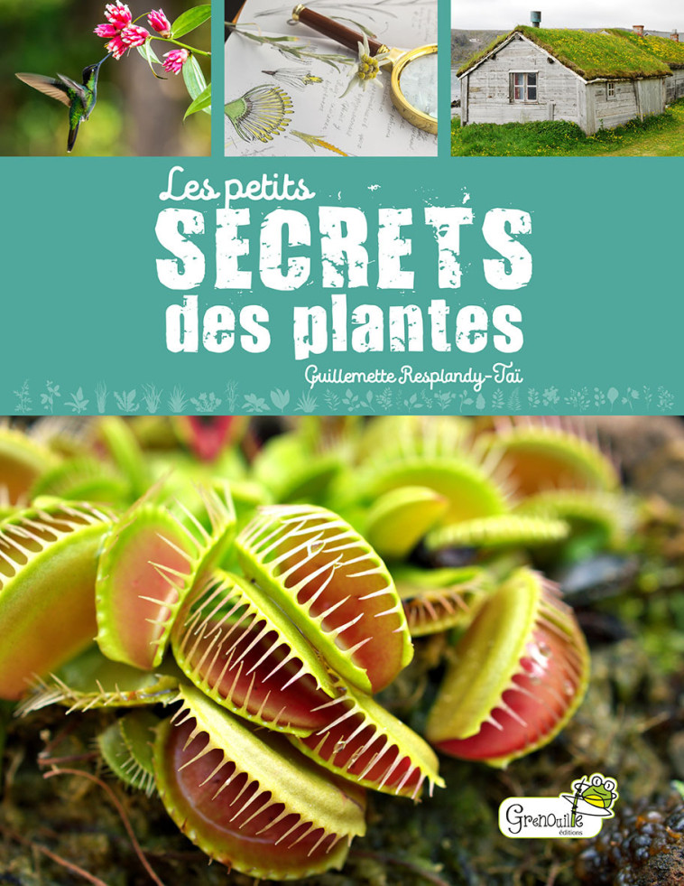 Les petits secrets des plantes - Guillemette Resplandy-taï,  G. RESPLANDY-TAI, Guillemette Resplandy-taï - GRENOUILLE