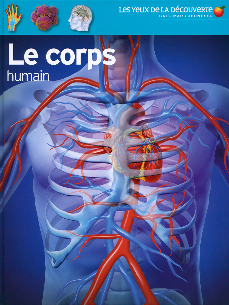 Le corps humain - Richard Walker, Manuel Boghossian, Richard Walker, Manuel Boghossian - GALLIMARD JEUNE