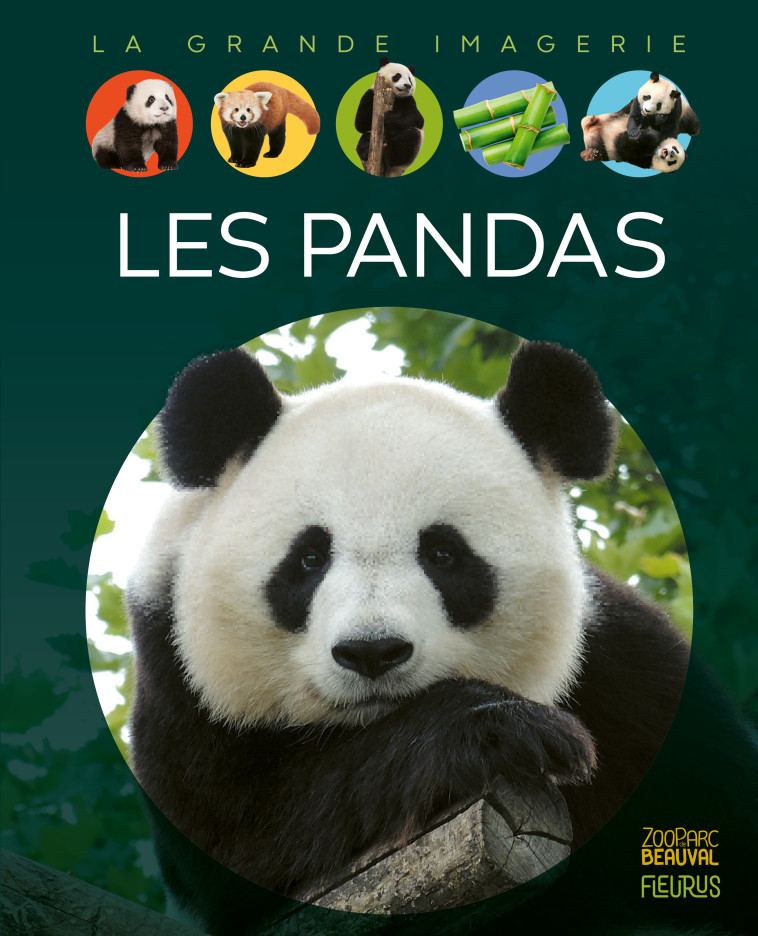 Les pandas - Stéphanie Redoulès - FLEURUS