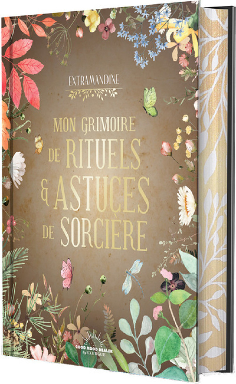 Mon Grimoire de rituels et astuces de sorcière - Amandine Faus,  Collectif,  Extramandine,  Extramandine - GOOD MOOD EXR