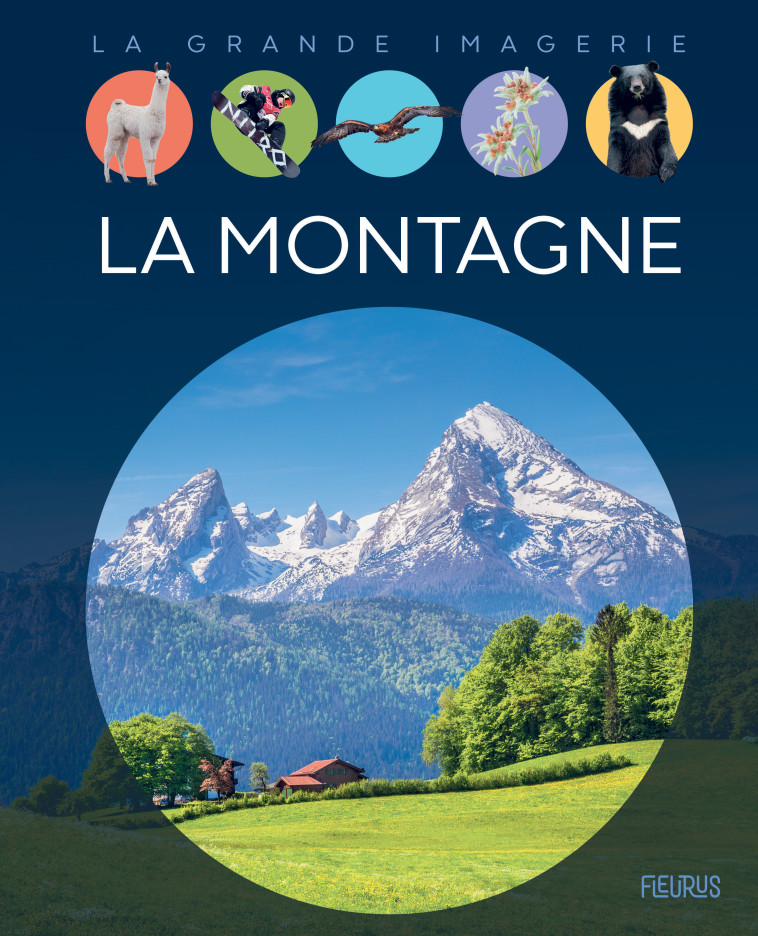 La montagne - Agnès Vandewiele - FLEURUS