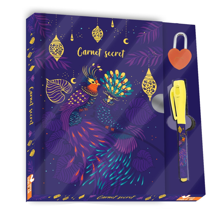 Mon carnet secret - coffret avec stylo magique - Stéphanie Desbenoit - DEUX COQS D OR