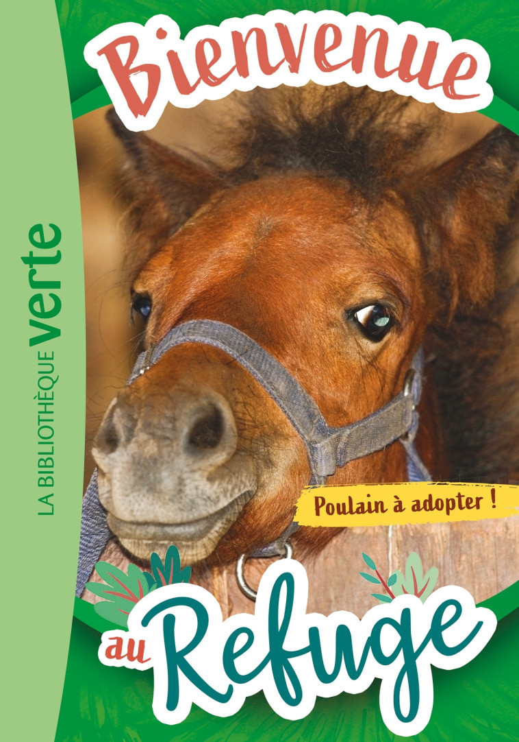 Bienvenue au refuge 03 - Poulain à adopter ! - Pascal Ruter - HACHETTE JEUN.