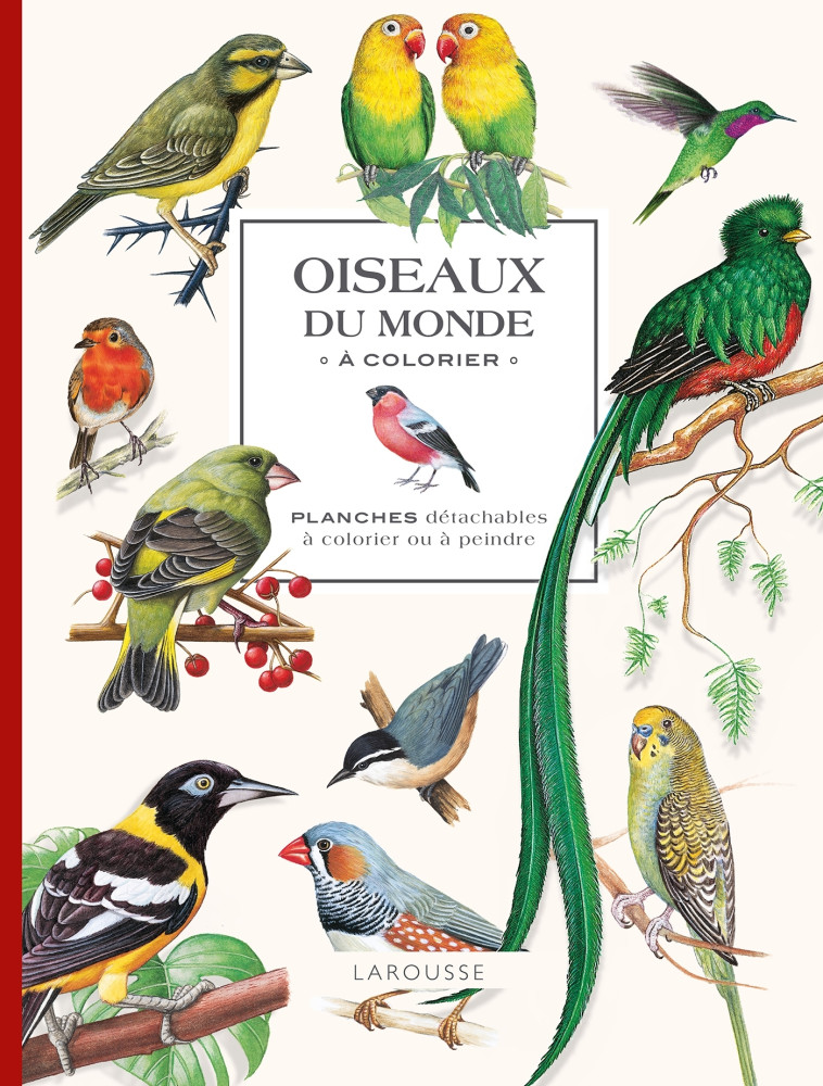 Oiseaux du monde à colorier - XXX - LAROUSSE