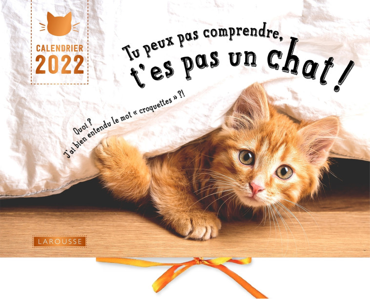 Calendrier Tu peux pas comprendre t'es pas un chat - Aurélie Lemoine - LAROUSSE