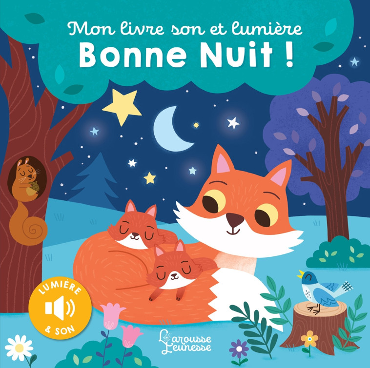 Mon livre son et lumière, Bonne nuit ! - Kasia Dudziuk - LAROUSSE