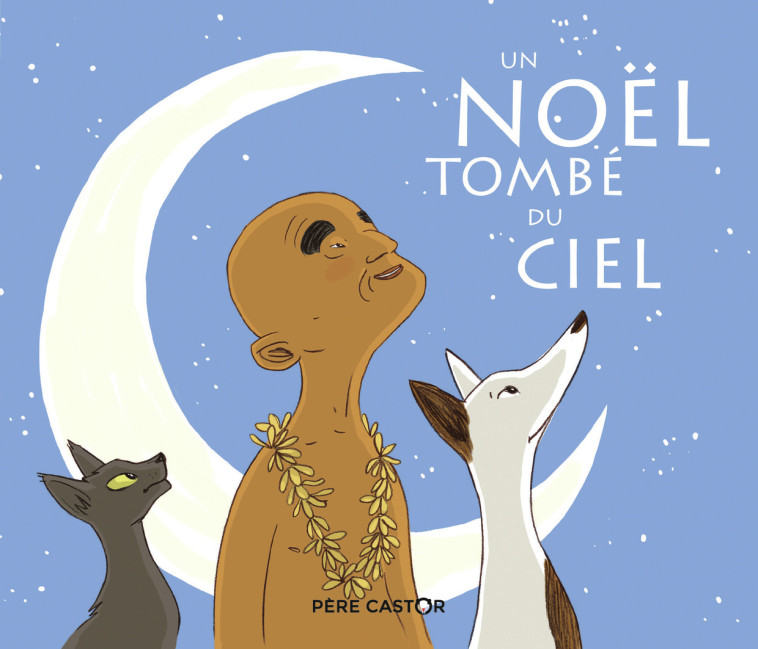 Un Noël tombé du ciel - Agnès Bertron-Martin - PERE CASTOR