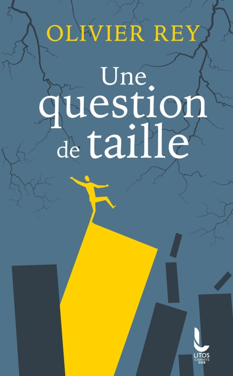 Une question de taille - Olivier Rey - LITOS