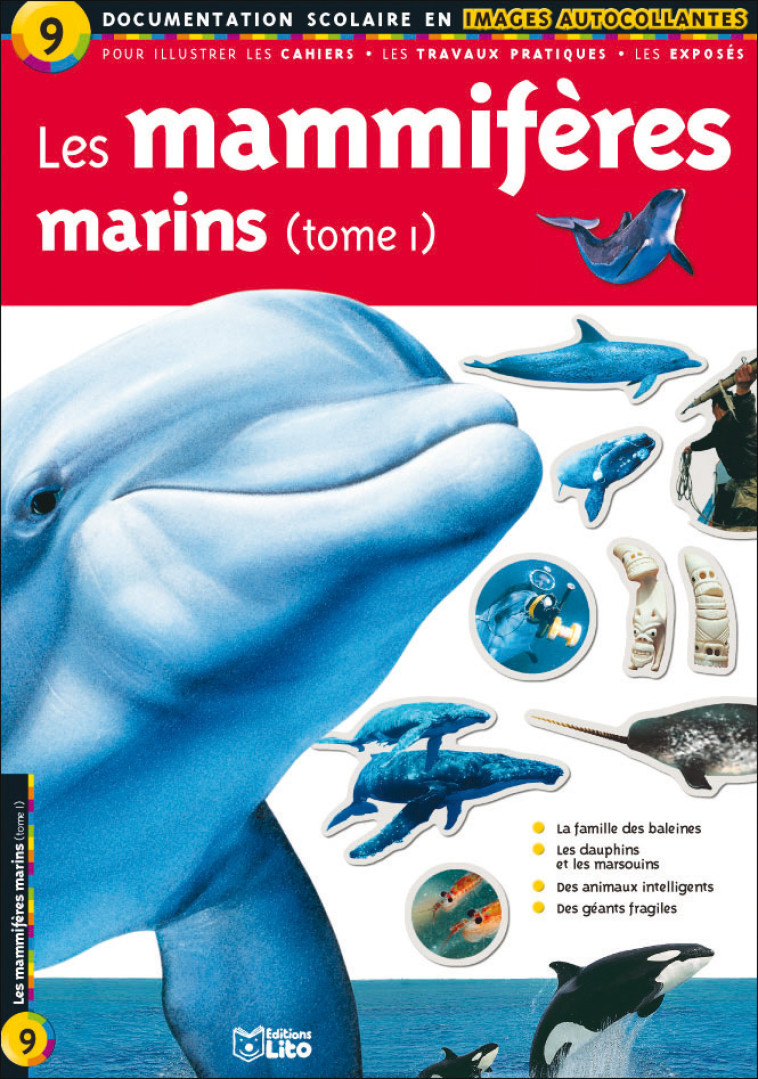 LIVRE MAMMIFERES MARINS TOME 1 - XXX - LITO