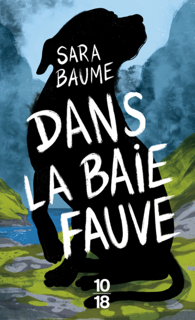 Dans la baie fauve - Sara Baume - 10 X 18