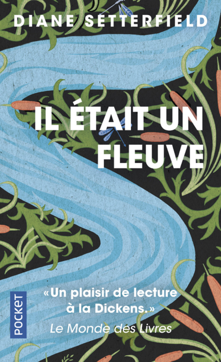 Il était un fleuve - Diane Setterfield - POCKET