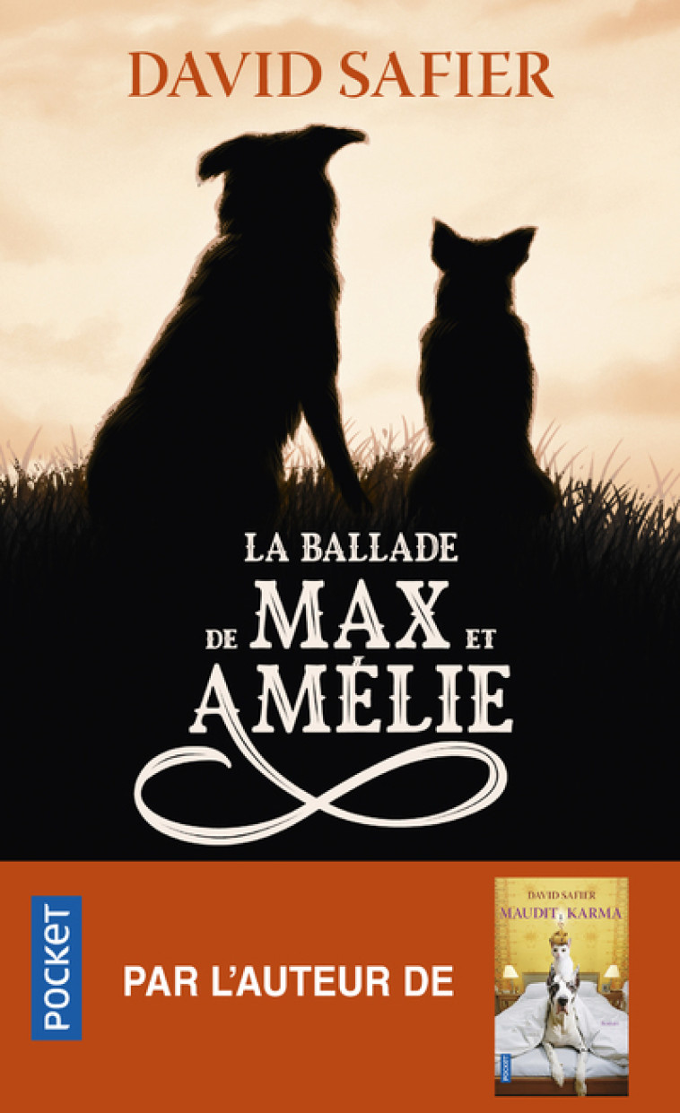 La Ballade de Max et Amélie - David Safier - POCKET