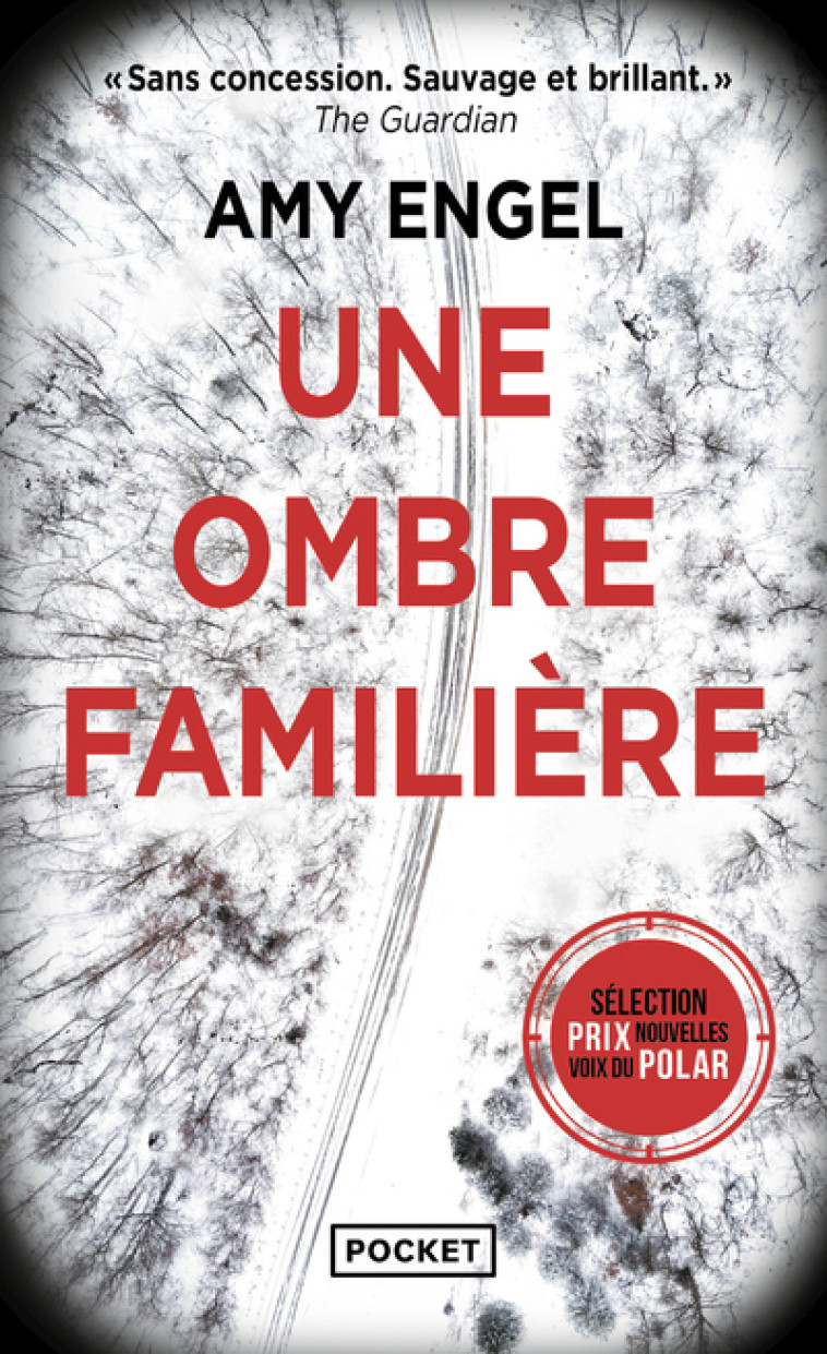 Une ombre familière - Amy Engel - POCKET