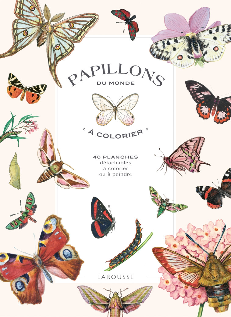 Papillons du monde à colorier - XXX - DESSAIN TOLRA