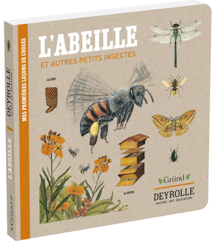 L'abeille et autres petits insectes - Deyrolle - Caroline Pélissier - GRUND