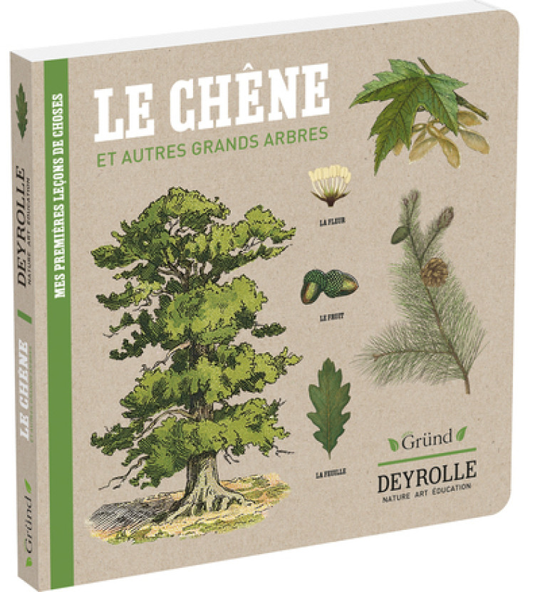 Le Chêne et autres grands arbres - Deyrolle - Caroline Pélissier - GRUND