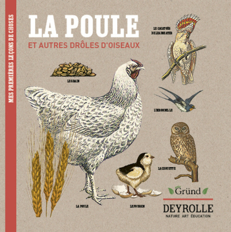 La poule et autres drôles d'oiseaux Deyrolle - Virginie Aladjidi - GRUND