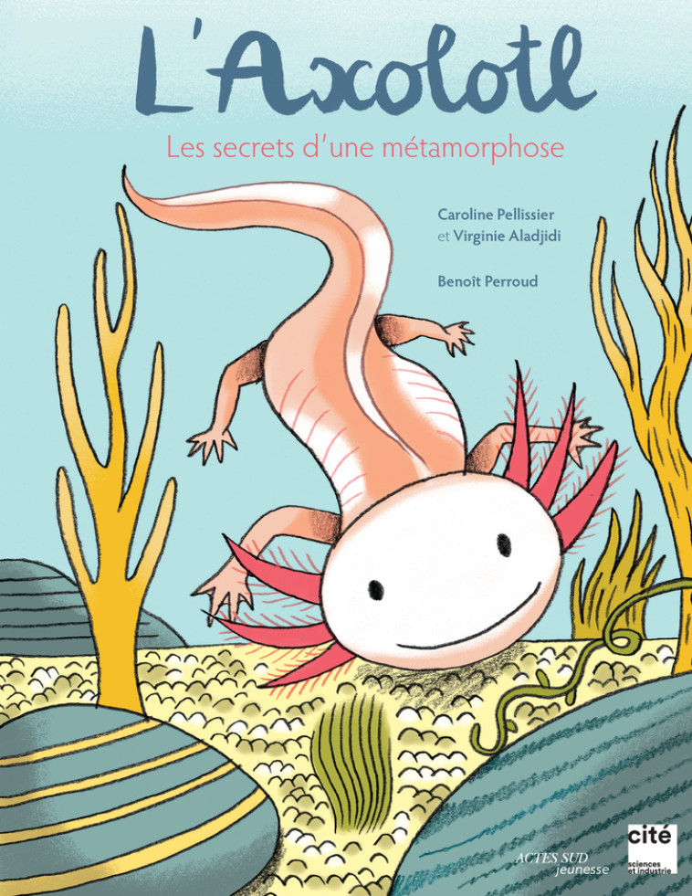 L'axolotl, les secrets d'une métamorphose - Virginie Aladjidi - ACTES SUD