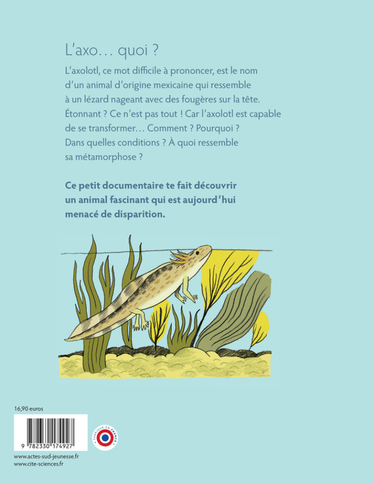 L'axolotl, les secrets d'une métamorphose - Virginie Aladjidi - ACTES SUD