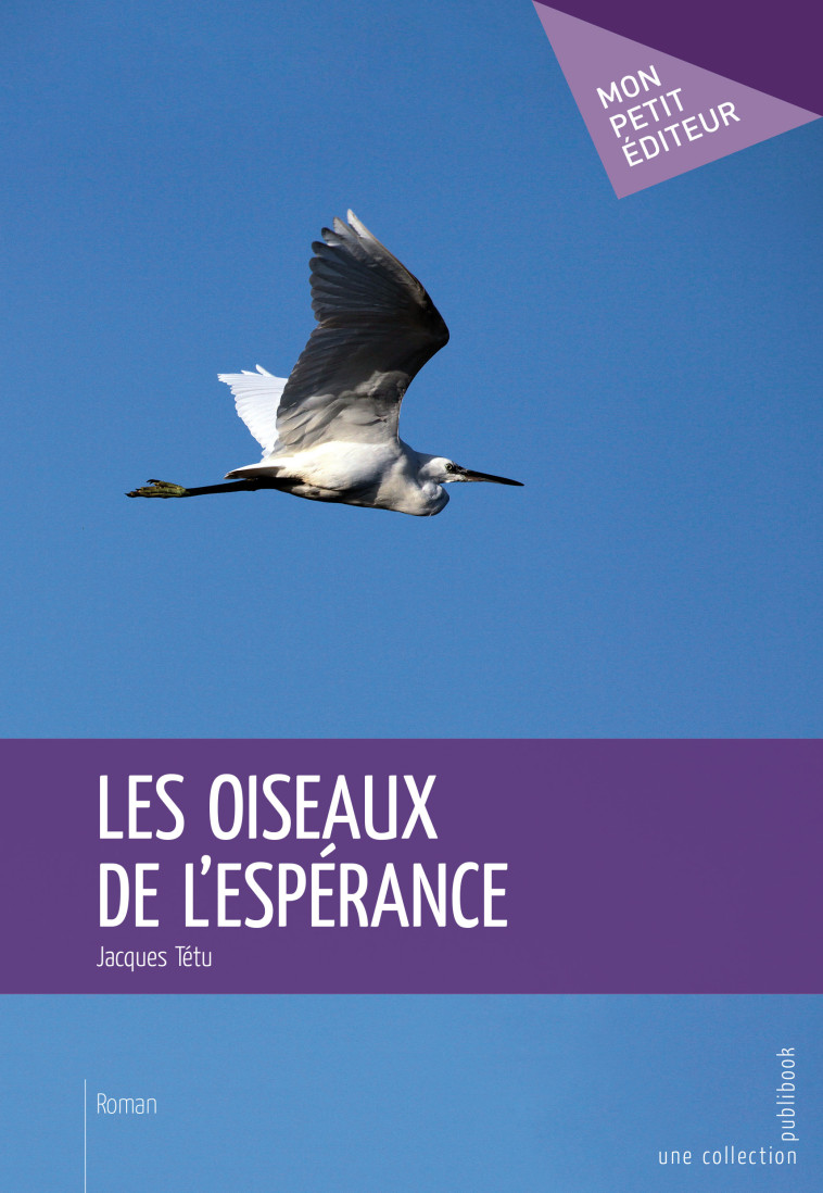 LES OISEAUX DE L'ESPERANCE -  TETU JACQUES - PUBLIBOOK