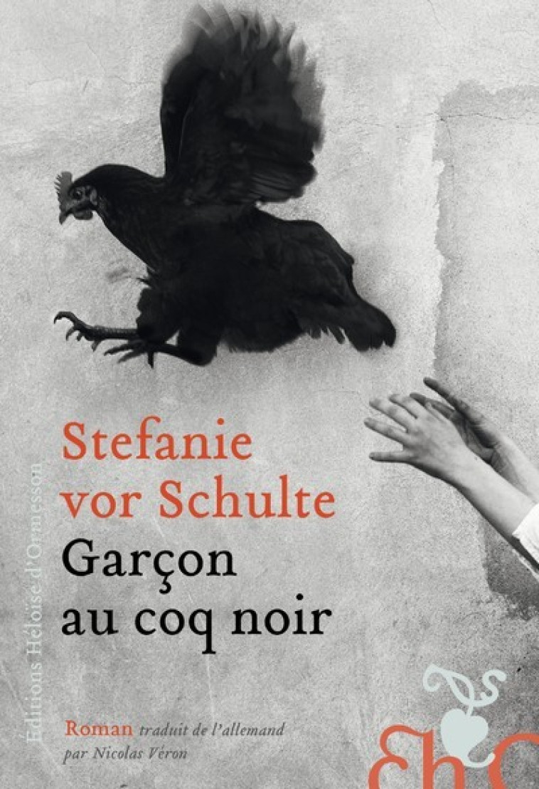 Garçon au coq noir - Stefanie vor Schulte - H D ORMESSON