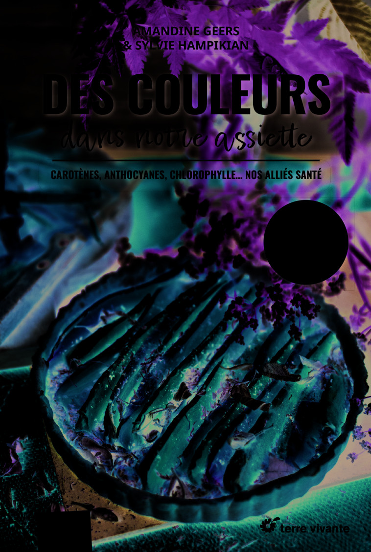 Des couleurs dans notre assiette - Amandine Geers - TERRE VIVANTE