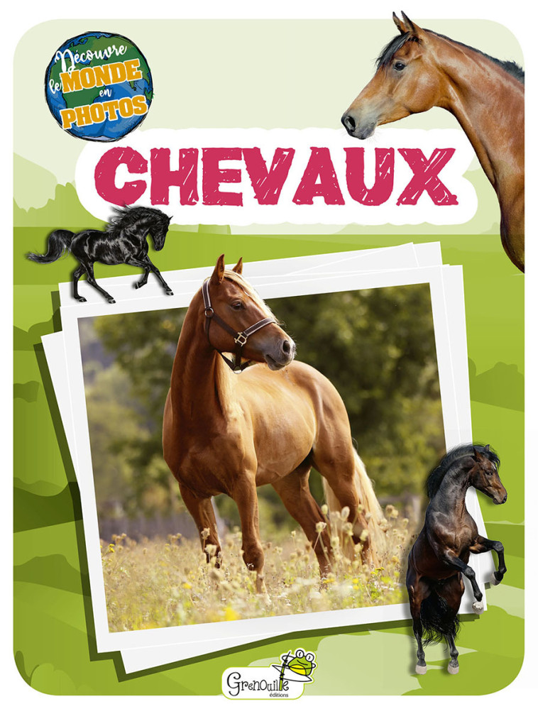 Chevaux -  Collectif - GRENOUILLE