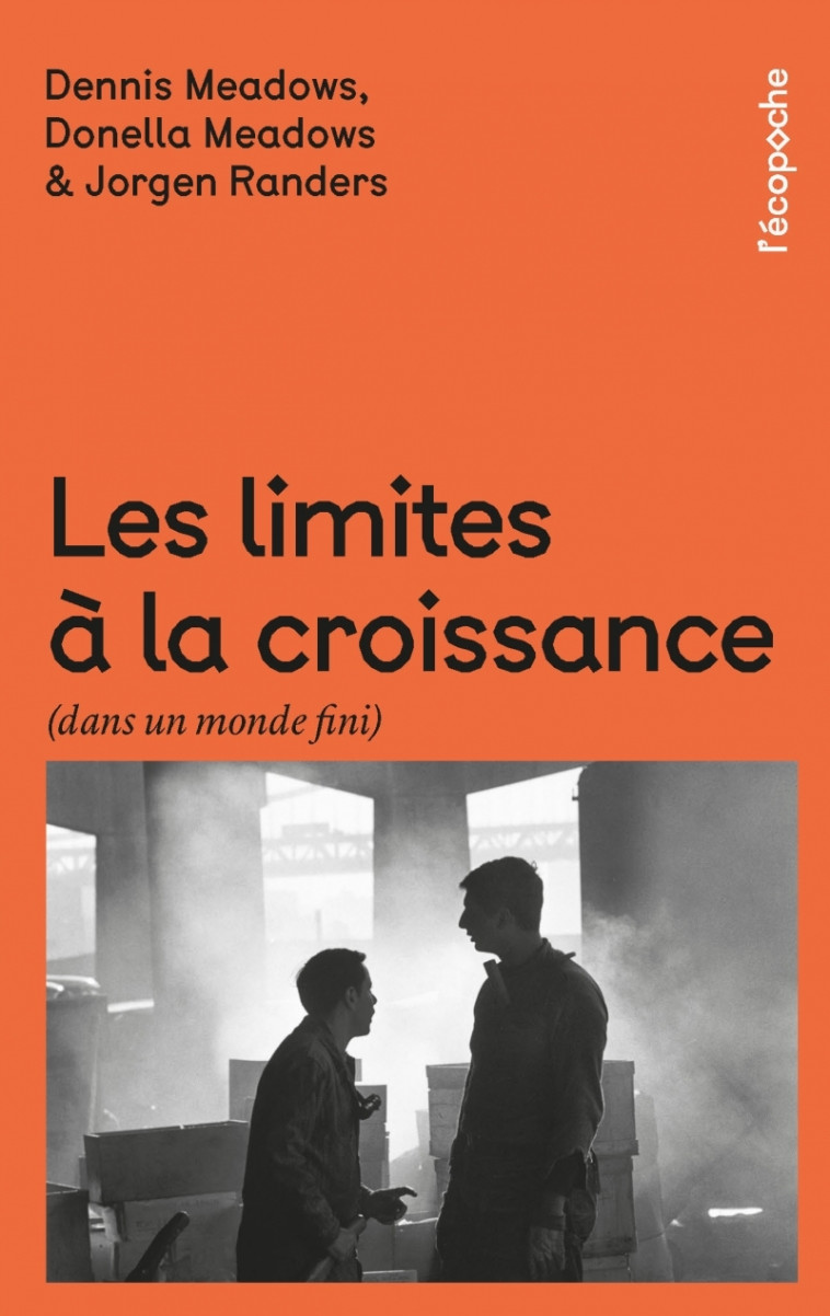 Les limites à la croissance - Dans un monde fini -  Collectif - RUE ECHIQUIER