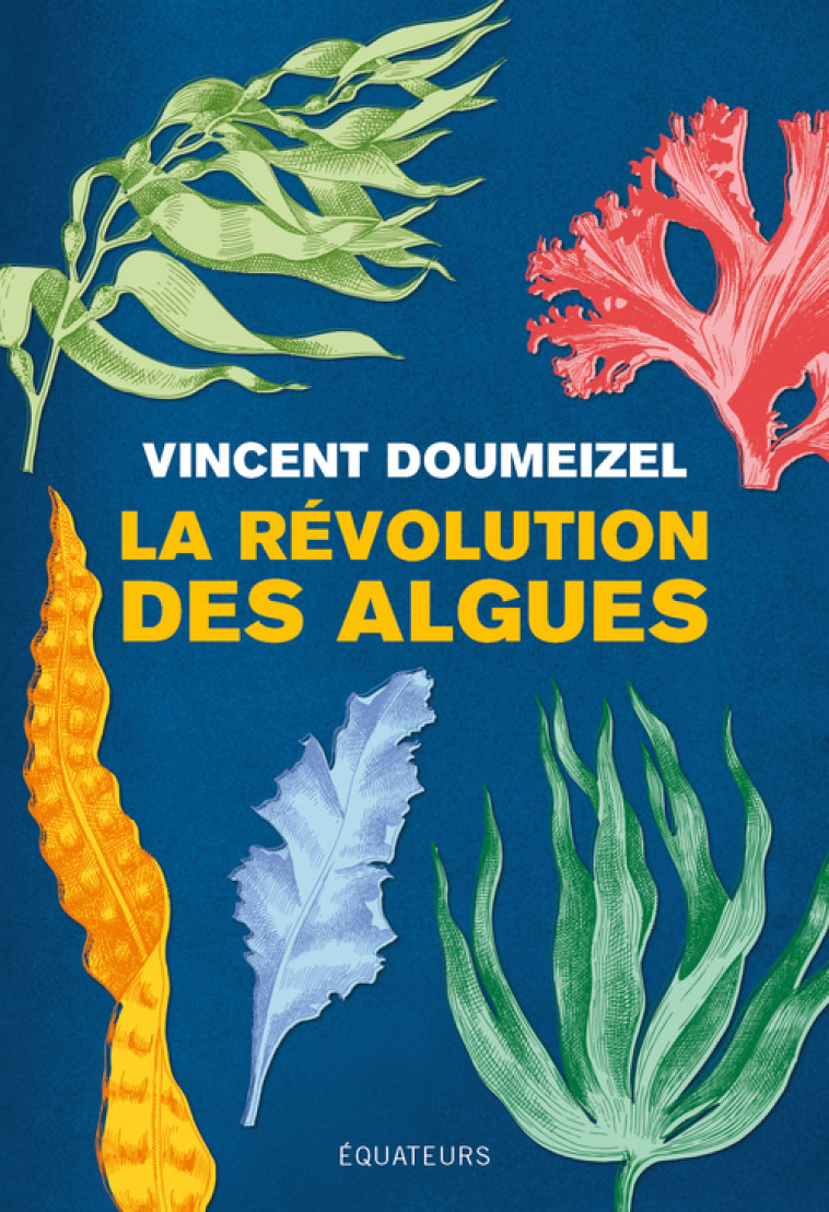 La révolution des algues - Vincent Doumeizel - DES EQUATEURS