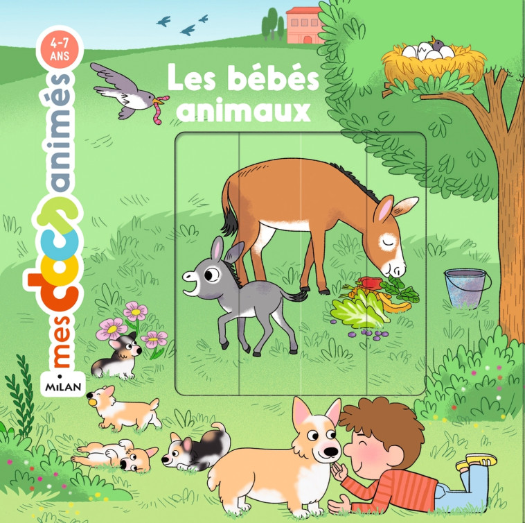 Les bébés animaux -  Anne Morel - MILAN