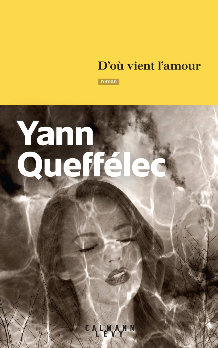 D'où vient l'amour - Yann Queffélec - CALMANN-LEVY