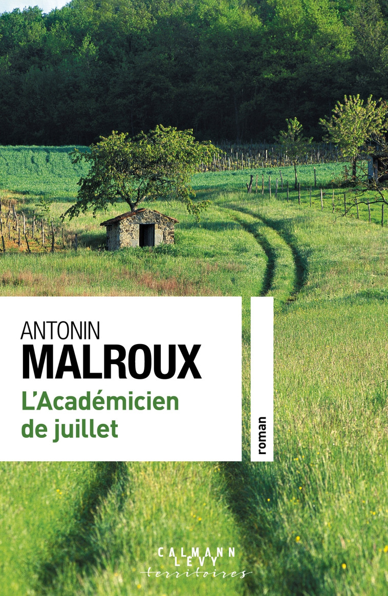 L'Académicien de juillet - Antonin Malroux - CALMANN-LEVY