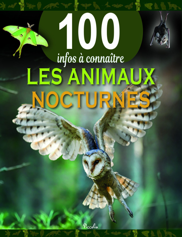 Les animaux nocturnes  -  Collectif - PICCOLIA